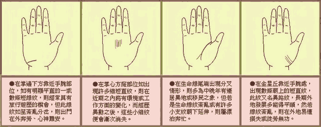 �����춯��